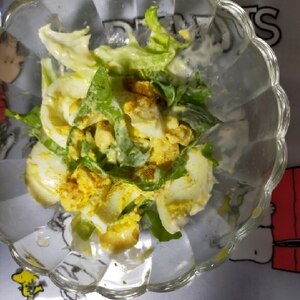 水菜とゆで卵のカレーマヨなサラダ
